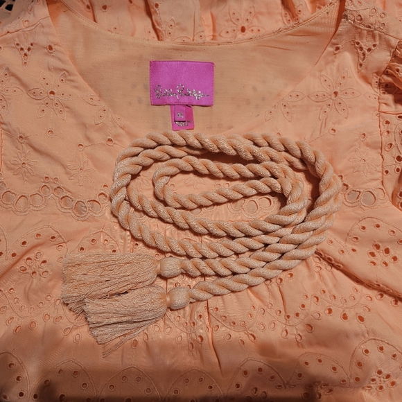 Lilly Pulitzer Keyla Eyelet Swing Dress Orange Size XL - Picture 9 of 12